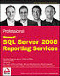 Image of Professional Microsoft SQL Server Reporting Services