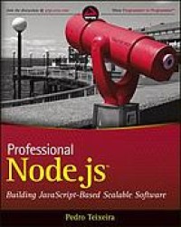 Image of Professional node.js : building JavaScript-based scalable software