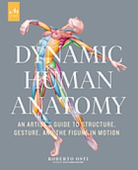 Image of Dynamic human anatomy : an artist's guide to structure, gesture, and the figure in motion