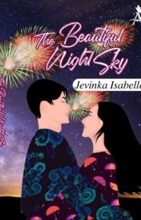 Image of The beautiful night sky