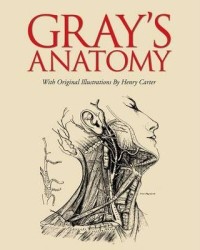Image of Gray's anatomy