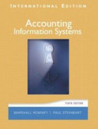 Image of Accounting Information Systems. Tenth International Edition