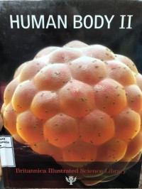 Image of Human Body II