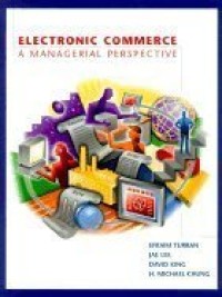 Image of Electronic Commerce : a managerial perspective