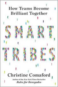 Image of Smart tribes : how teams brilliant together
